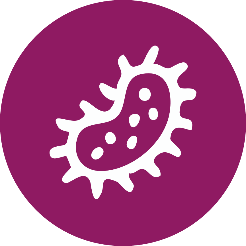 Ícone de infecções bacterianas